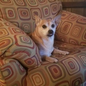 Meet your Posher, Stephen